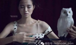 一彤798大哥爆料视频,独家内幕大公开